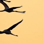 H67A8193.jpg Lueurs du soir