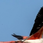 H67A8599.jpg